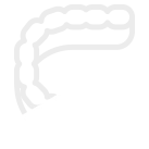 row of teeth